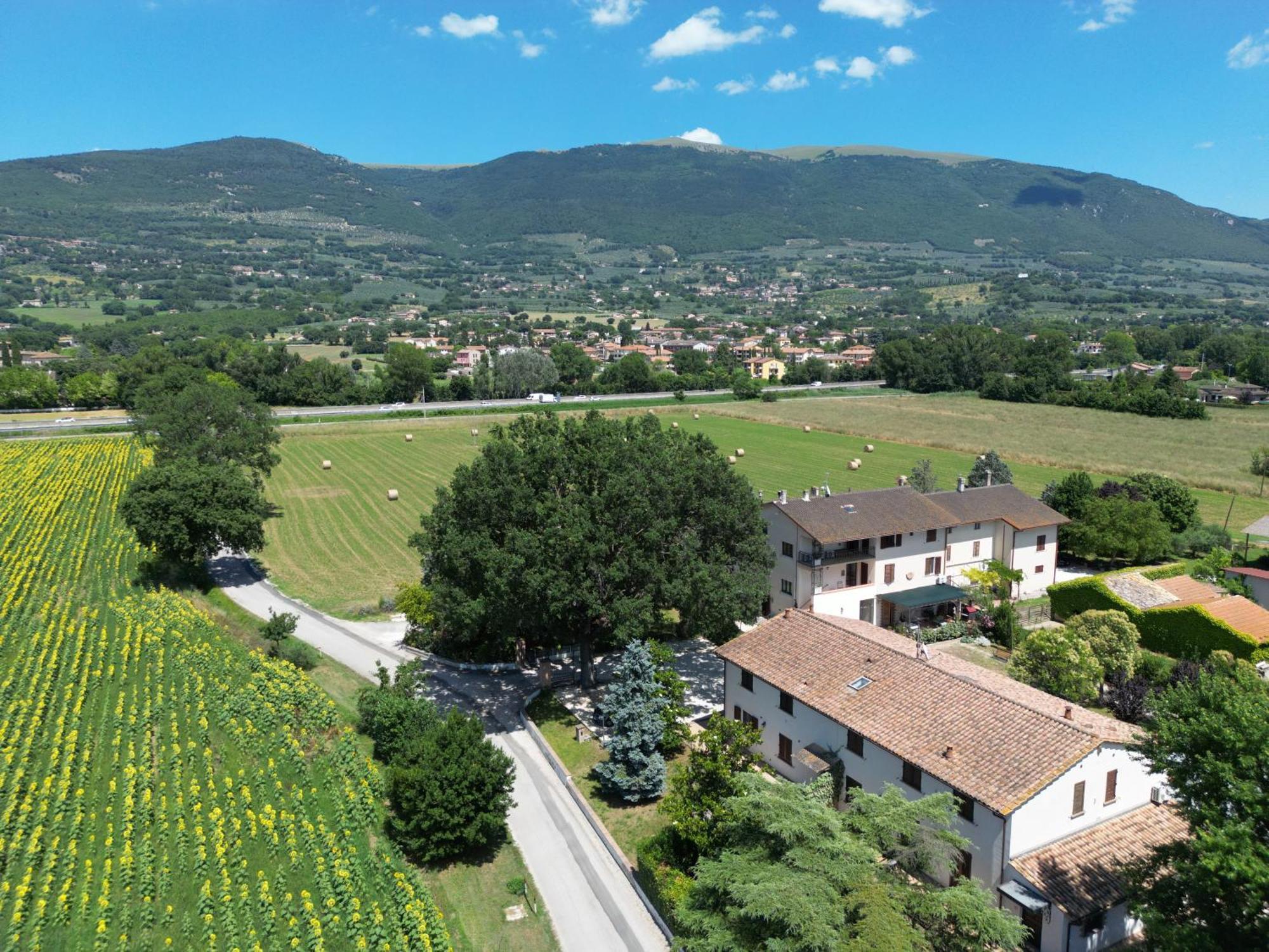 Il Quercione Agriturismo Rivotorto Ngoại thất bức ảnh