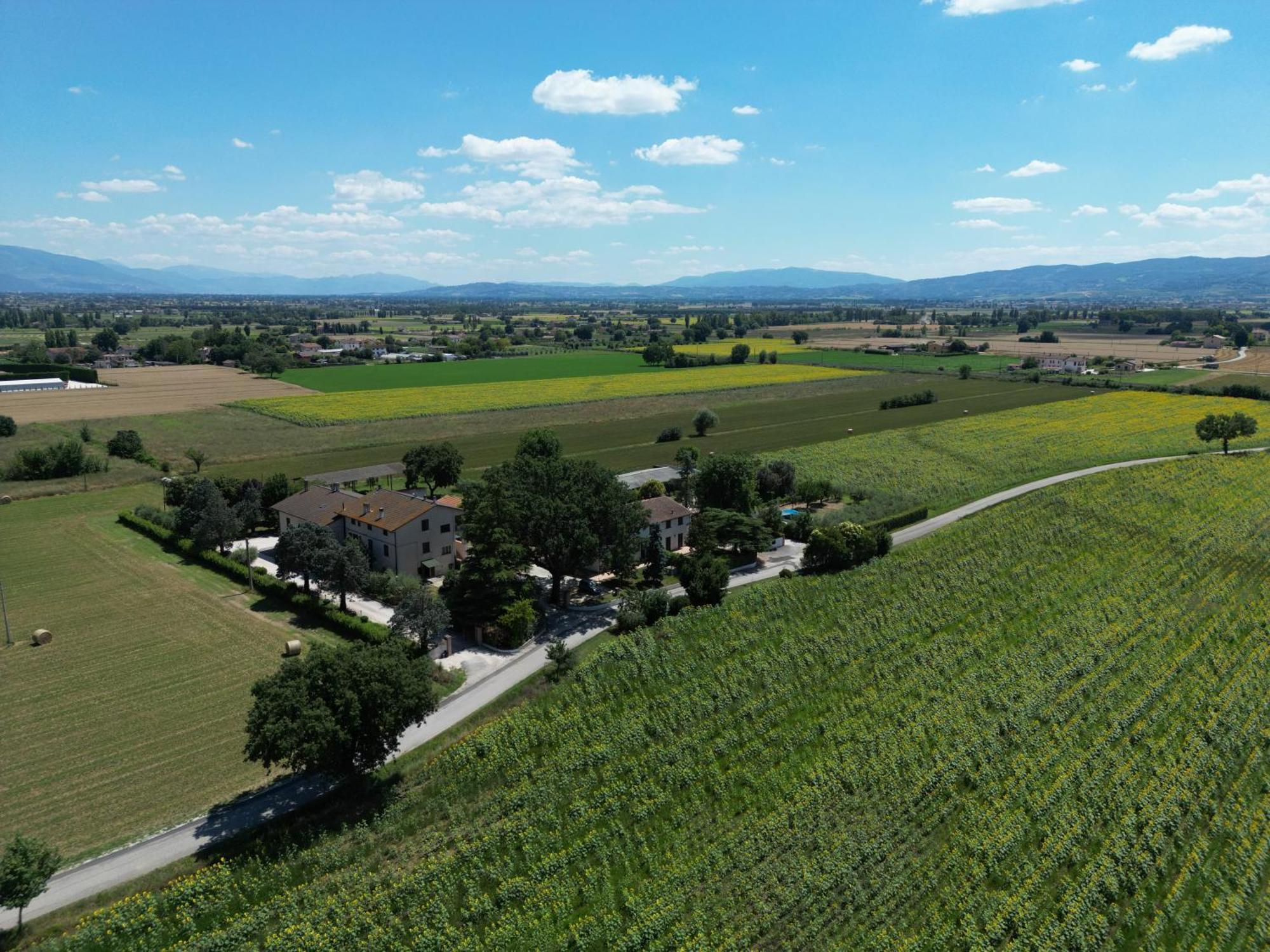 Il Quercione Agriturismo Rivotorto Ngoại thất bức ảnh
